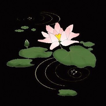 Gif waterlily6